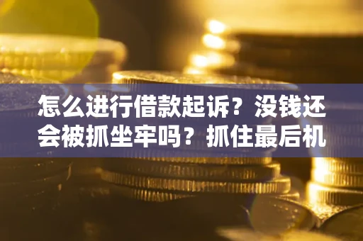 济南怎么进行借款起诉？没钱还会被抓坐牢吗？抓住最后机会！