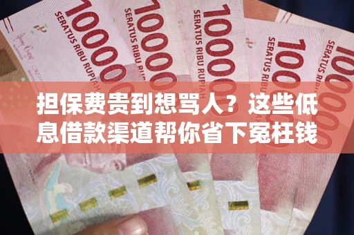 济南担保费贵到想骂人？这些低息借款渠道帮你省下冤枉钱