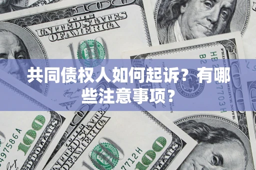济南共同债权人如何起诉？有哪些注意事项？